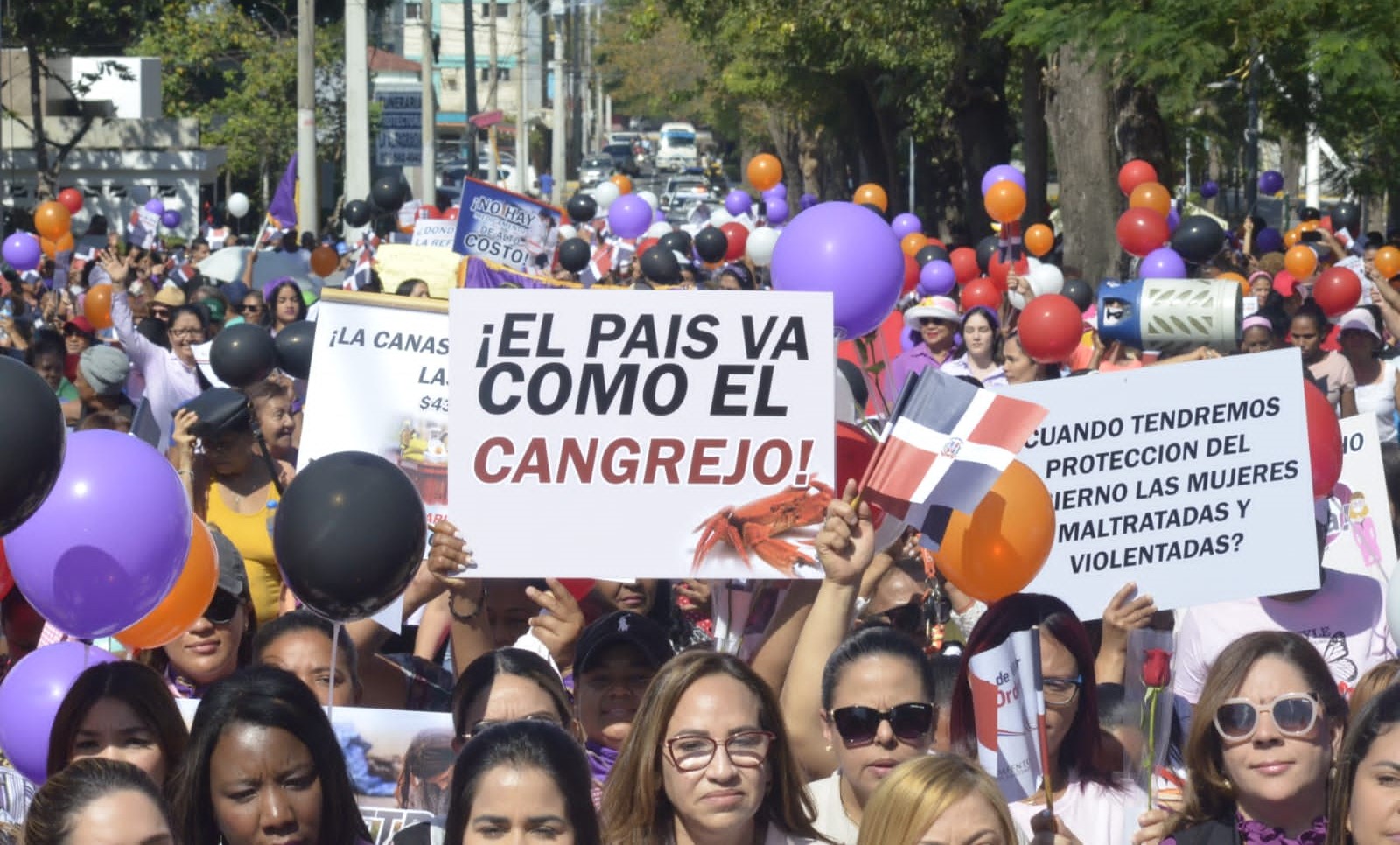 Santiago: Mujeres PLD defienden soberanía y derecho vivir decente