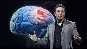 La FDA rechaza los experimentos cerebrales en humanos de Elon Musk