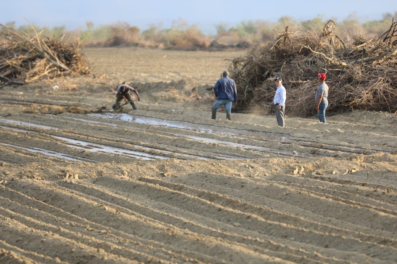 Gobierno lanza renovación Proyecto Cruz de Manzanillo