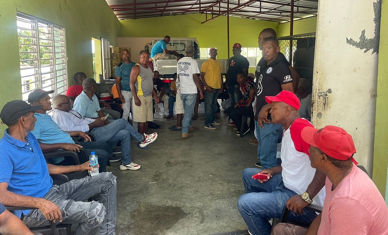 Productores de cebolla denuncian Gobierno les adeuda RD$205 MM