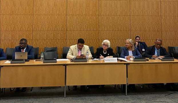 Ortiz Bosch: «Gobierno fortalece los mecanismos de control RD