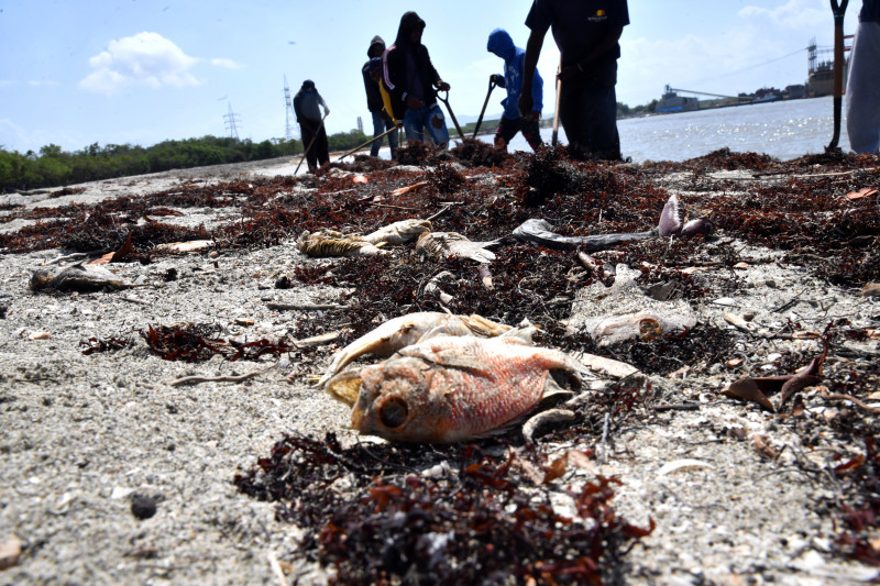 Continúan quejas en Azua por operación de barcazas