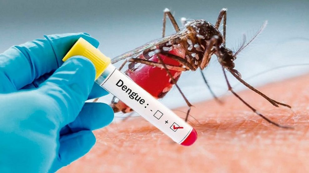 Reportan 248 casos de dengue en la última semana