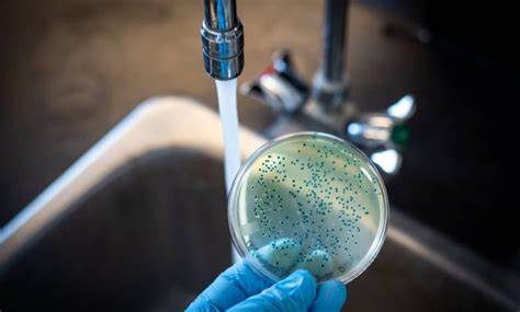 Salud Pública: Uno de los once casos sospechosos de cólera en Barahona dio positivo