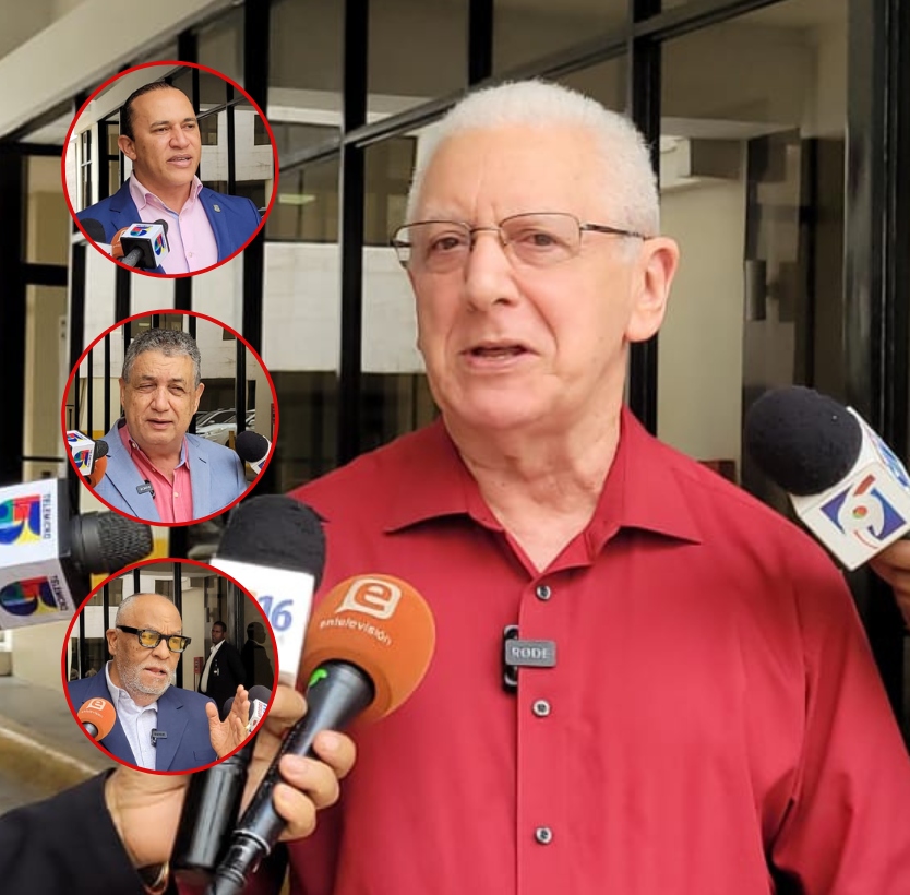 Legisladores afirman JCE ha tomado una «decisión tardía» respecto a proselitismo en precampaña