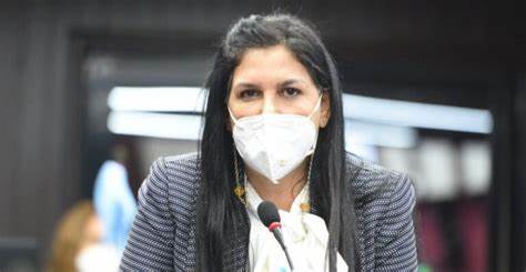 PRM rechaza precandidatura de Rosa Amalia Pilarte, acusada de lavado de activos