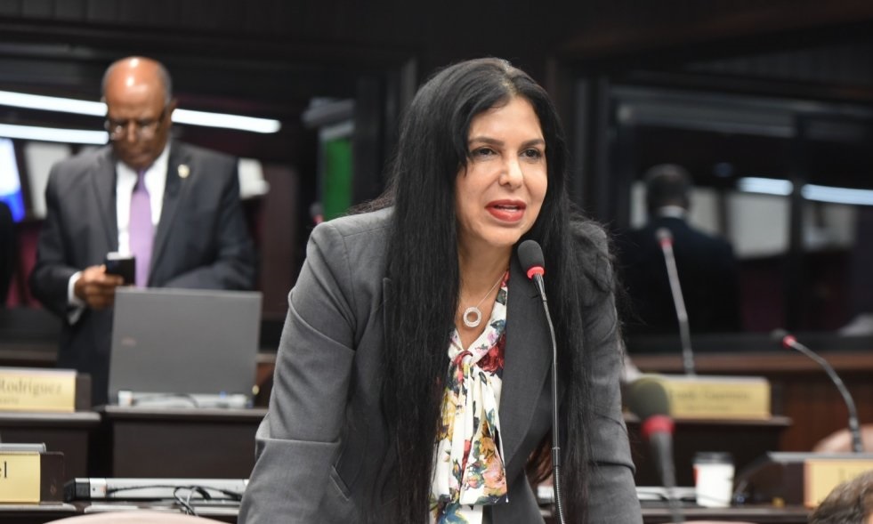 PGR: Diputada Rosa Amalia Pilarte conocía procedencia ilícita de dinero