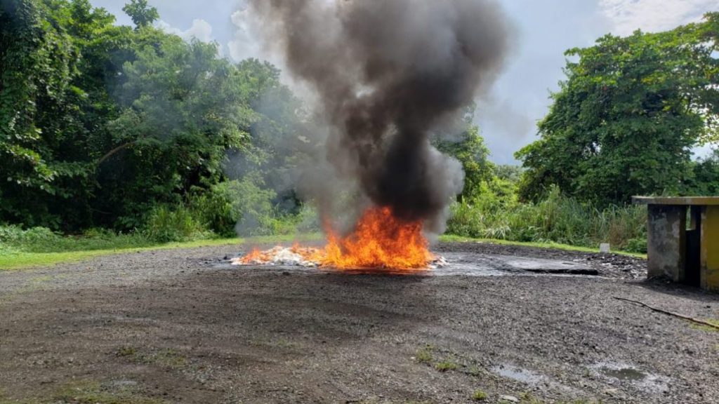 Procuraduría quema más de cincuenta kilogramos de drogas
