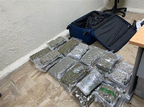 Abandonan maleta con 27 paquetes de marihuana en Punta Cana￼