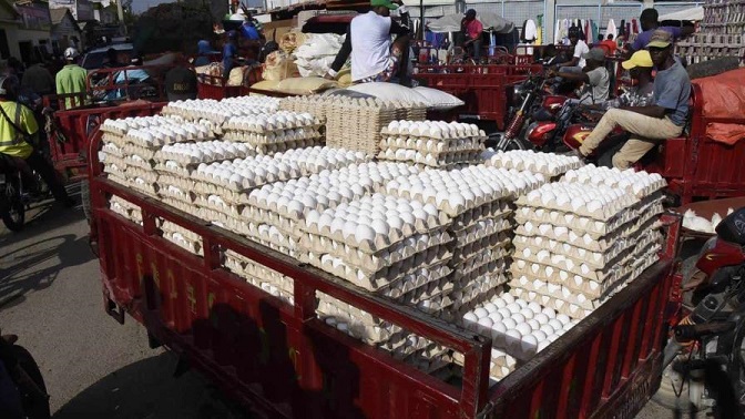 Productores huevos dice tienen pérdidas por mil millones pesos