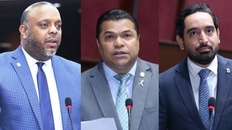 Oposición pide a Senado devolver contrato de Aerodom al Gobierno