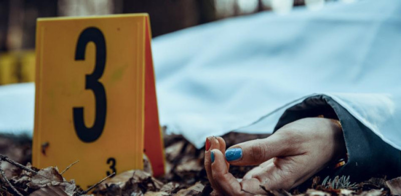 Según Cepal RD entre países con mayor tasa de feminicidios por encima de Haití, en Latinoamérica