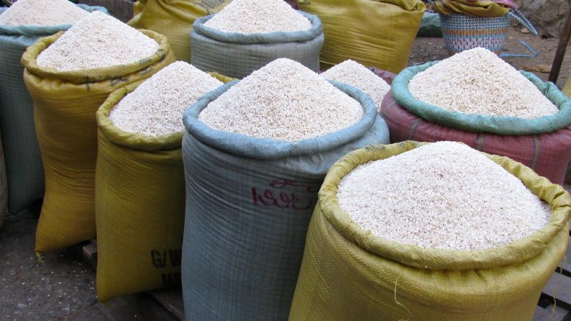 Advierten impacto «devastador» llegada de arroz libre aranceles