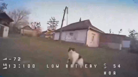 VIDEO: Un gato planta cara a un dron y lo derriba de un ‘derechazo’
