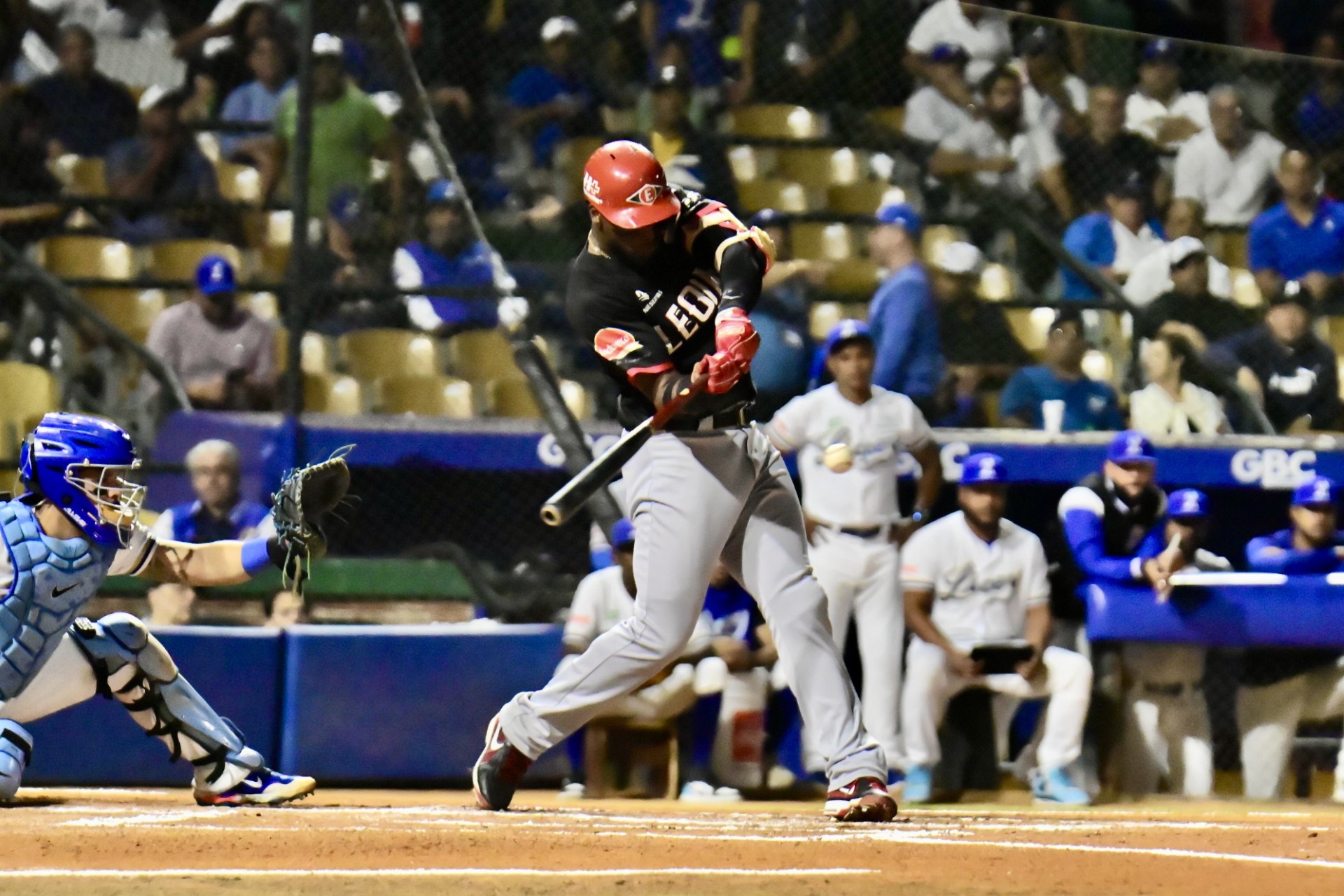 Leones propina paliza a los Tigres; Águilas doblegan a las Estrellas