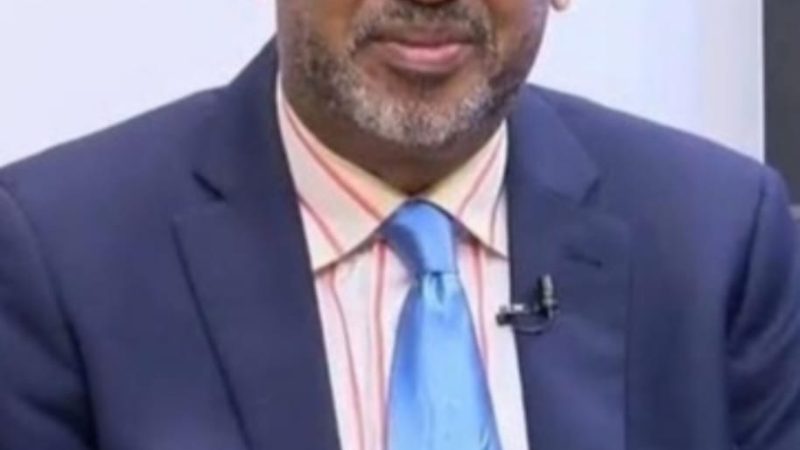 Aspirante a presidir la Fuerza del Pueblo en SDN asegura Luis Abinader merece un monumento al incumplimiento