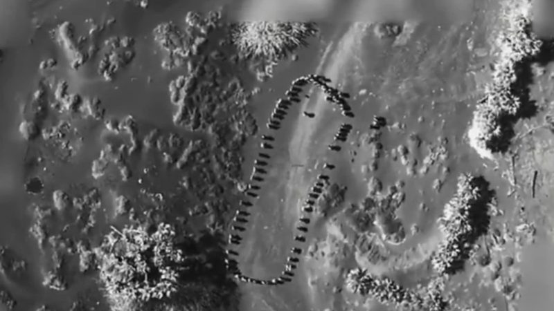 Fuerzas estadounidenses atacan a hutíes planificaban atentado y Trump dice que estos nunca más hundirán barcos de los EE. UU.