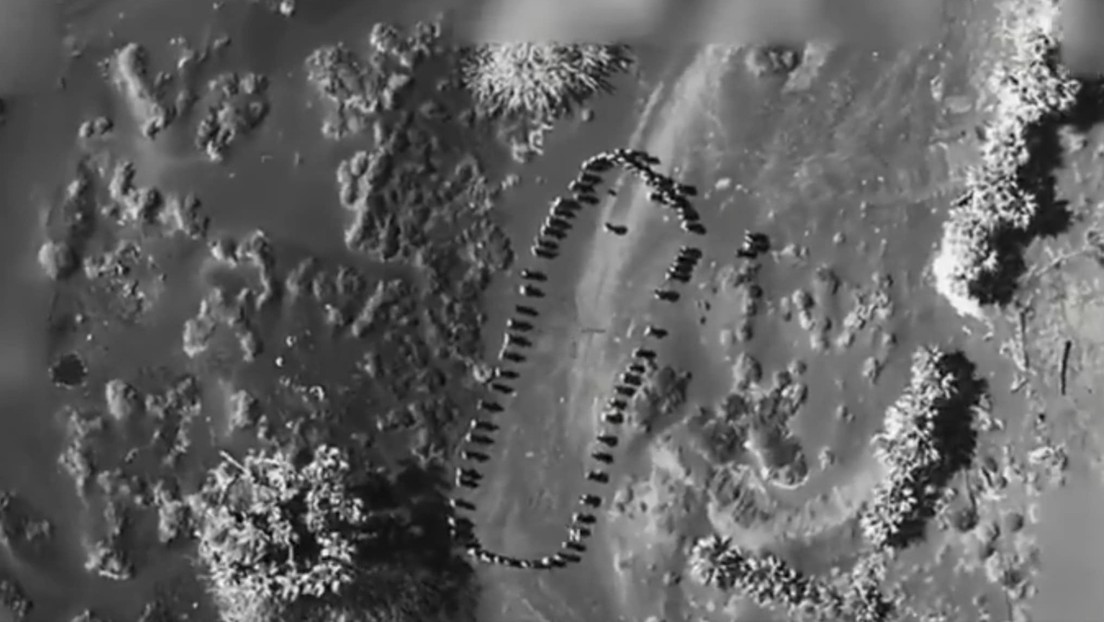 Fuerzas estadounidenses atacan a hutíes planificaban atentado y Trump dice que estos nunca más hundirán barcos de los EE. UU.