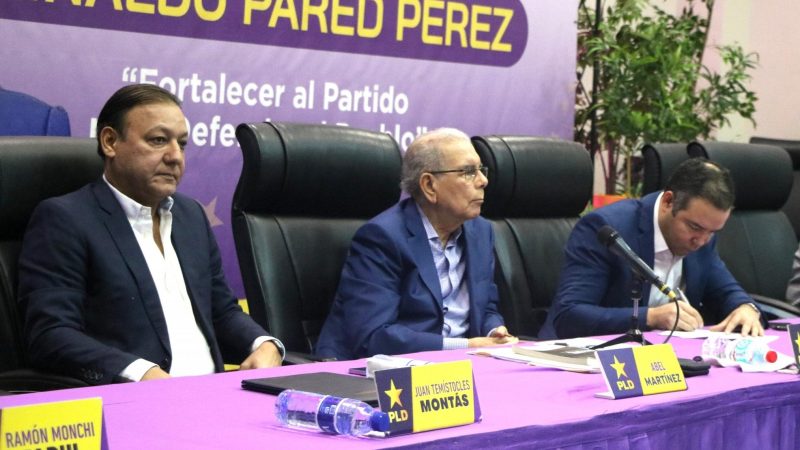 Alto organismo PLD pasará revista  al tema de las aspiraciones presidenciales de esa organización