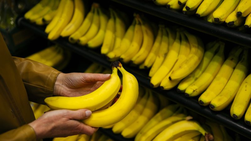 América Latina podría perder gran parte de sus cultivos de bananas para 2080