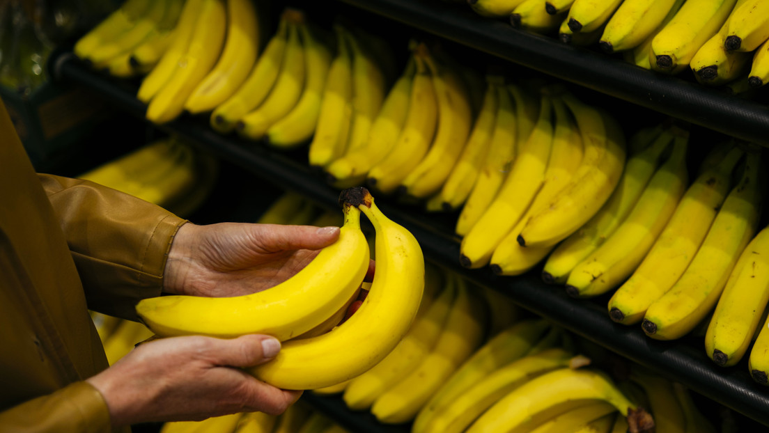 América Latina podría perder gran parte de sus cultivos de bananas para 2080
