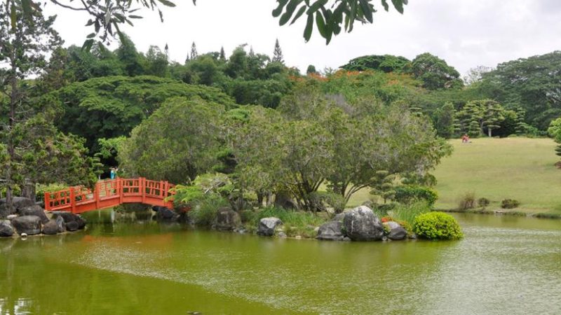 Jardín Botánico “no debe ser tocado”, sino declarado área protegida