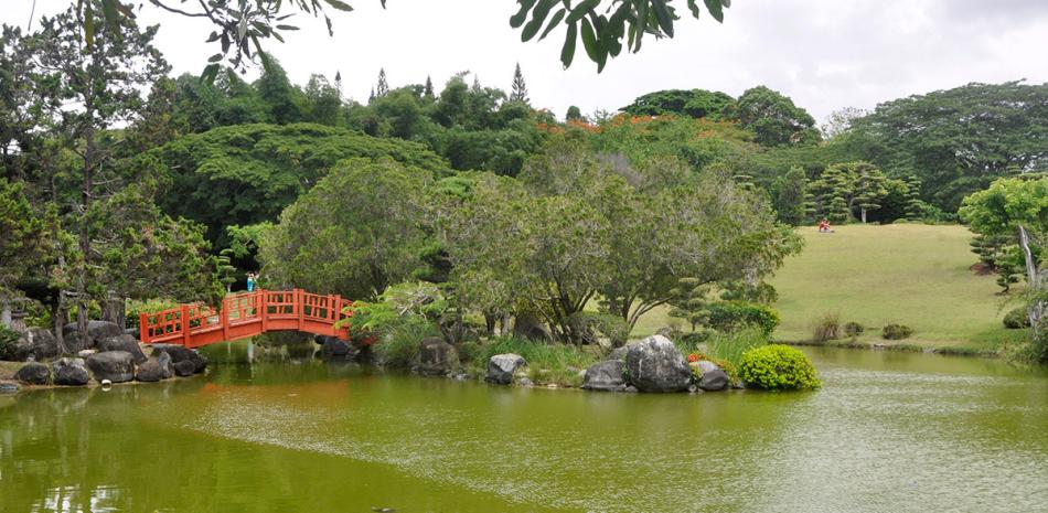 Jardín Botánico “no debe ser tocado”, sino declarado área protegida