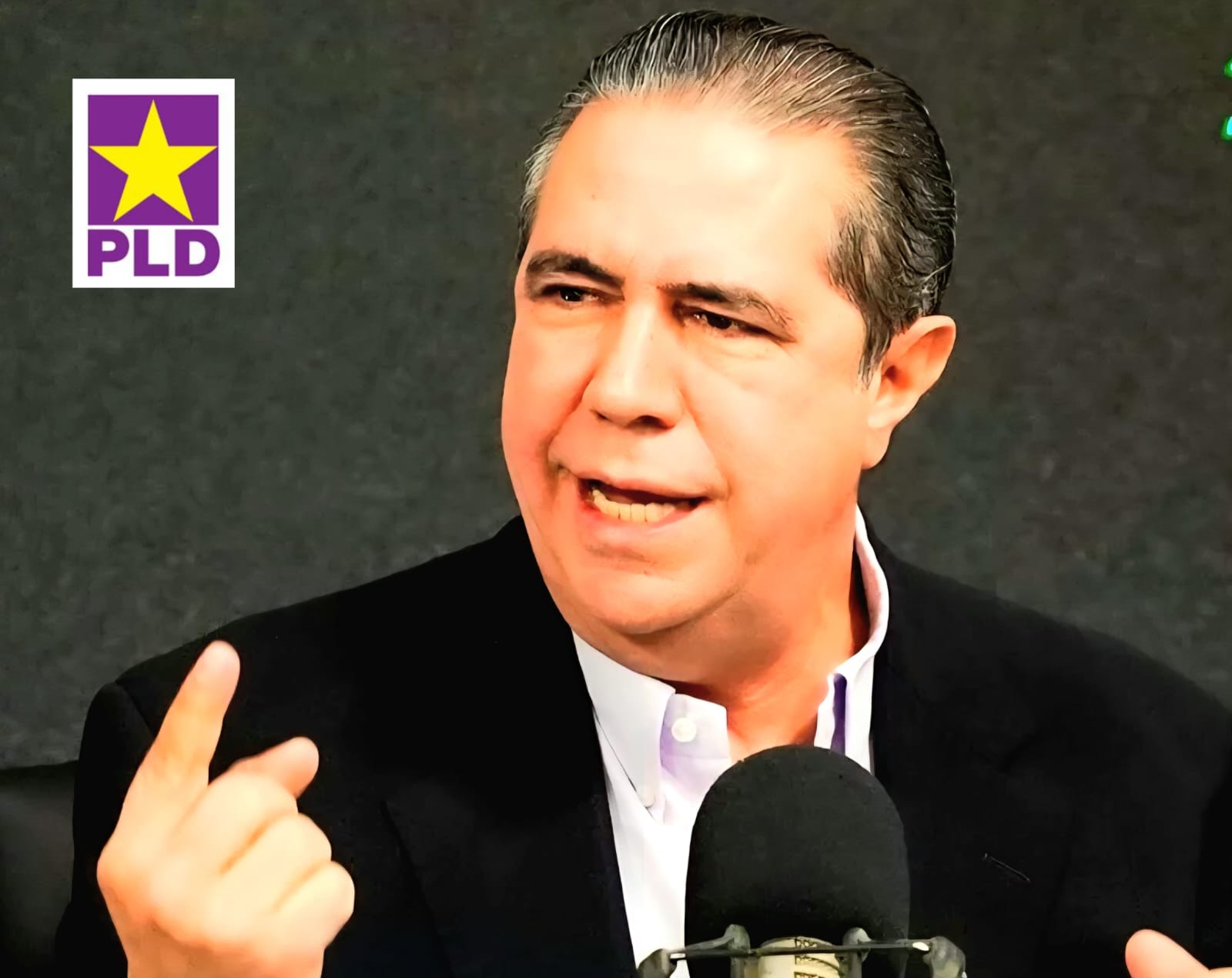 Francisco Javier: “El PRM se ha ganado el derecho a ser desalojado del Palacio en el 2028”
