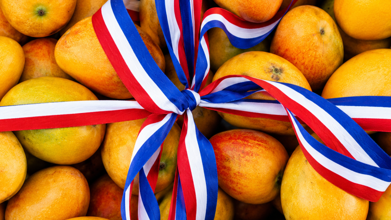 Productores de mango advierten sobre el impacto que tendría una eventual prohibición de EE. UU. a las importaciones dominicanas