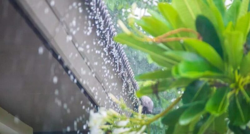 Lluvias, tronadas y ráfagas de viento marcarán el inicio de semana en varias zonas del país
