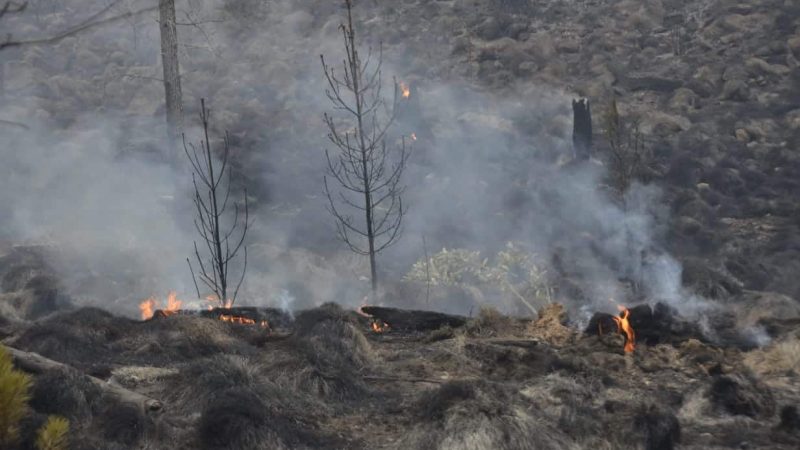 Controlan un incendio en Valle Nuevo tras 36 horas de labores