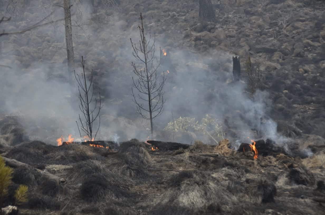 Controlan un incendio en Valle Nuevo tras 36 horas de labores